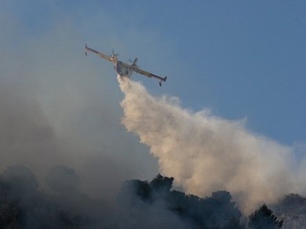 Learning to manage forest fires