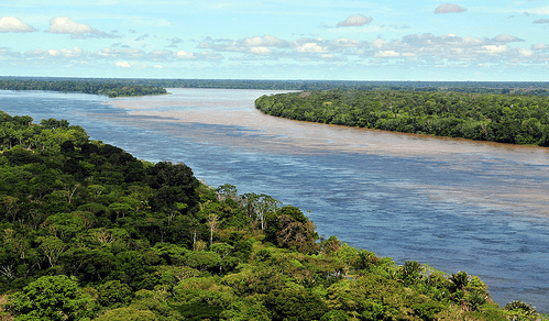 New tools for biodiversity monitoring
