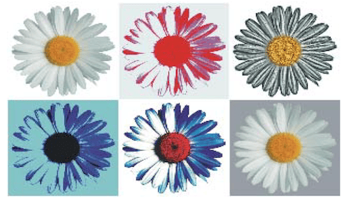 Multimedia reading “La margherita di Adele”