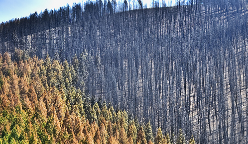 IAFENT researchers awarded for the poster “A Multicriteria Approach for Wildfire Risk Assessment  in the Rural Urban Interface”