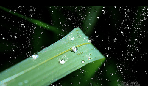 Quantifying the potential effects of climate change on precipitation to reduce urban vulnerability
