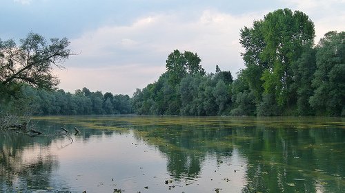 Hydrological simulations and climate scenarios at the basin scale in the Po river, Italy