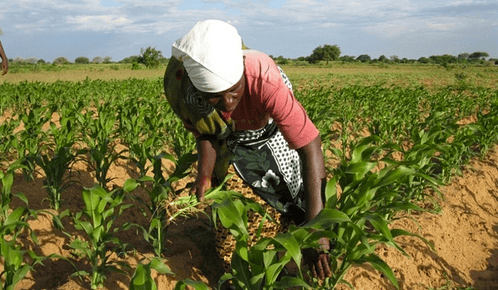 Land grabbing: acqua, energia e sicurezza alimentare