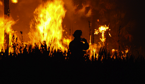 Wildfires: the Second International Conference in Alghero