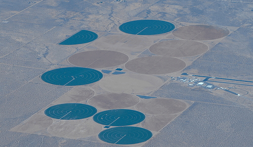 Webinar ICCG sul tema delle sfide idriche nel settore agricolo