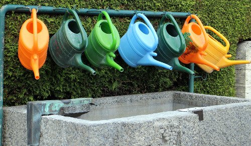 Webinar ICCG sull’efficienza, la produttività e il risparmio delle risorse idriche nei Paesi aridi