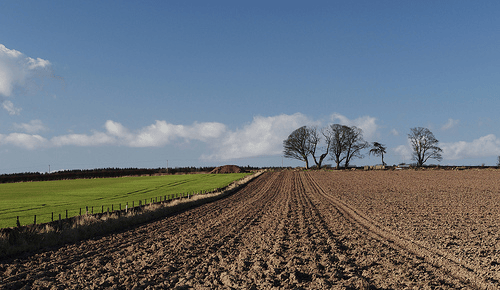 Al via la consultazione pubblica su agricoltura e LULUCF
