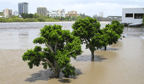 River flooding in urban areas: a case study from Switzerland