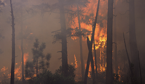 Incendi: un metodo per individuare le aree più a rischio