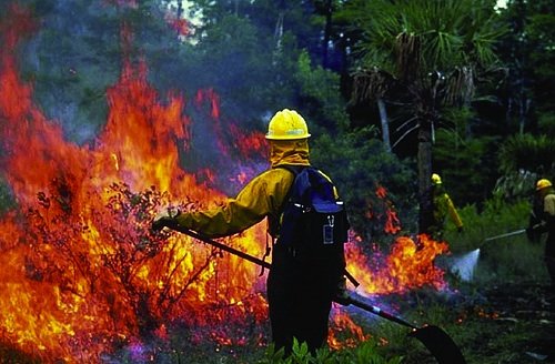 Incendi: nuovi strumenti per la prevenzione