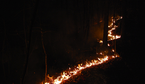 Tecniche di climate downscaling per valutare gli impatti dei cambiamenti climatici sugli incendi boschivi
