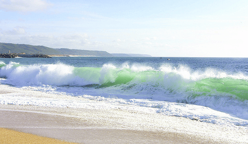 Oceans and climate change: new insights on the origins of Atlantic decadal swings