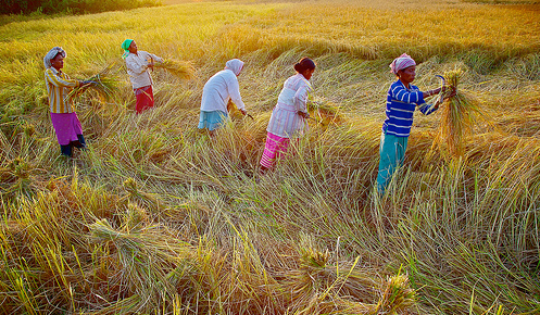 Progetto #ICCG #climatestories: come i cambiamenti climatici hanno cambiato la tua vita?