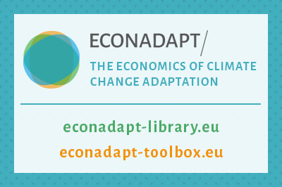 Adaptation: tools for an economic assessment