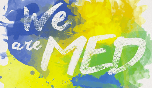 WE are MED: going beyond thematic communities