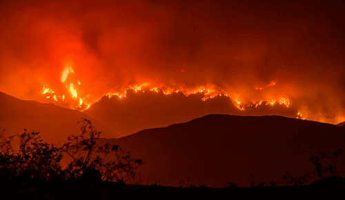 Incendi: caldo e scarse piogge non aiutano. La scienza sì.
