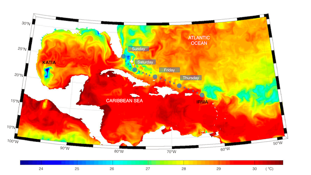 Figura. Temperatura giornaliera alla superficie del mare (per domenica 10 settembre) prevista dal sistema di previsioni oceaniche globali del CMCC (previsione realizzata giovedì 7 settembre). I cerchi indicano la posizione di IRMA (percorso previsto). Anche la posizione di KATIA è indicata