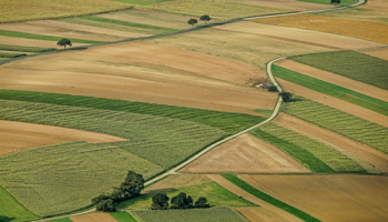 Che cosa sono e come funzionano i PES, i pagamenti per i servizi ecosistemici? Cinque recenti innovazioni per migliorare questi schemi dal punto di vista dei costi e della performance ambientale, presentate da Nicholas Hanley, Professor of Environmental and One Health Economics dell’Università di Glasgow, in Scozia. Guarda il video