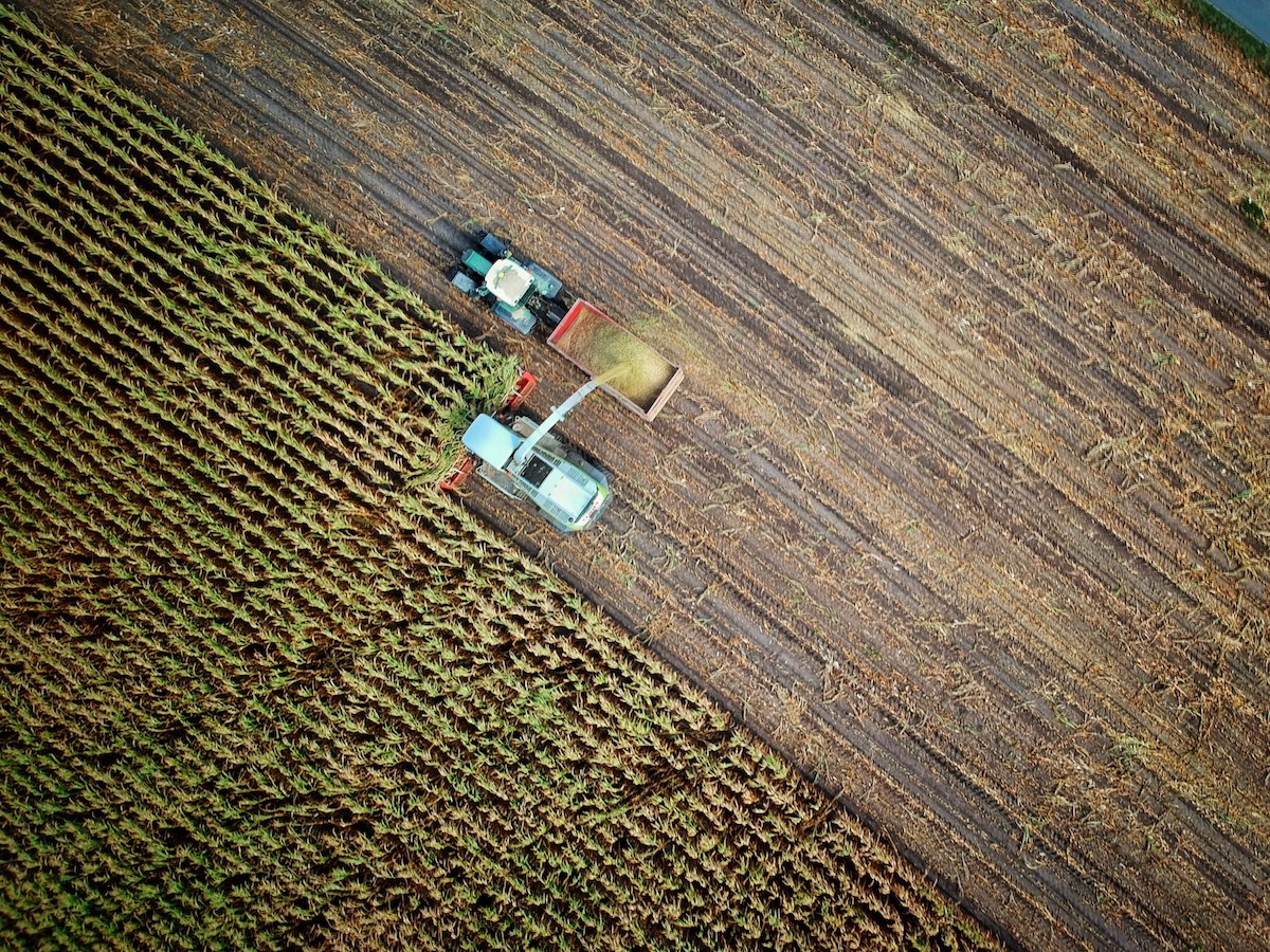 L’Italia ha molto da dire sui cambiamenti climatici e sul loro rapporto col territorio