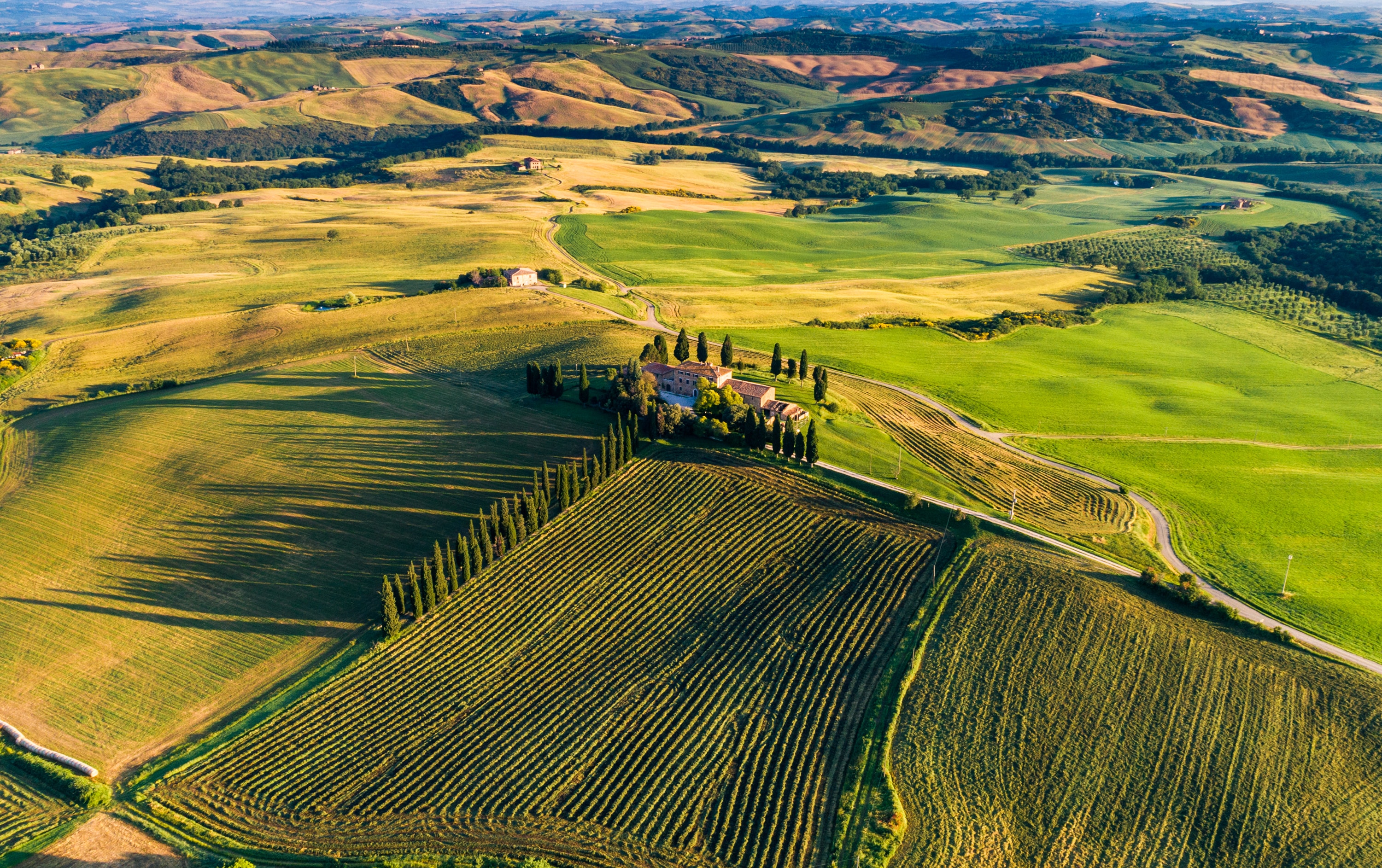 Un piano d’azione per rendere il settore agro-forestale a zero emissioni entro il 2040