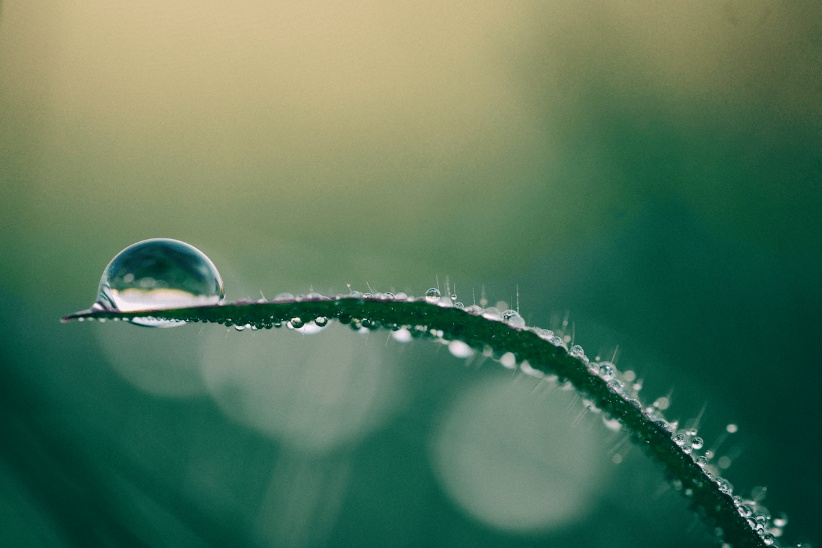 Ecco l’acqua del futuro: smart, innovativa e sostenibile. Quanto costa all’Italia non agire sui cambiamenti climatici