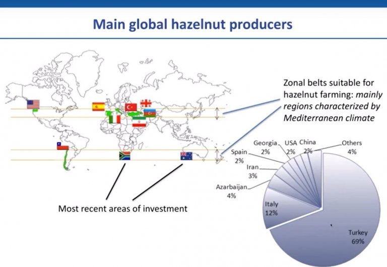 The future of hazelnuts the economic value of subseasonal forecasts CMCC