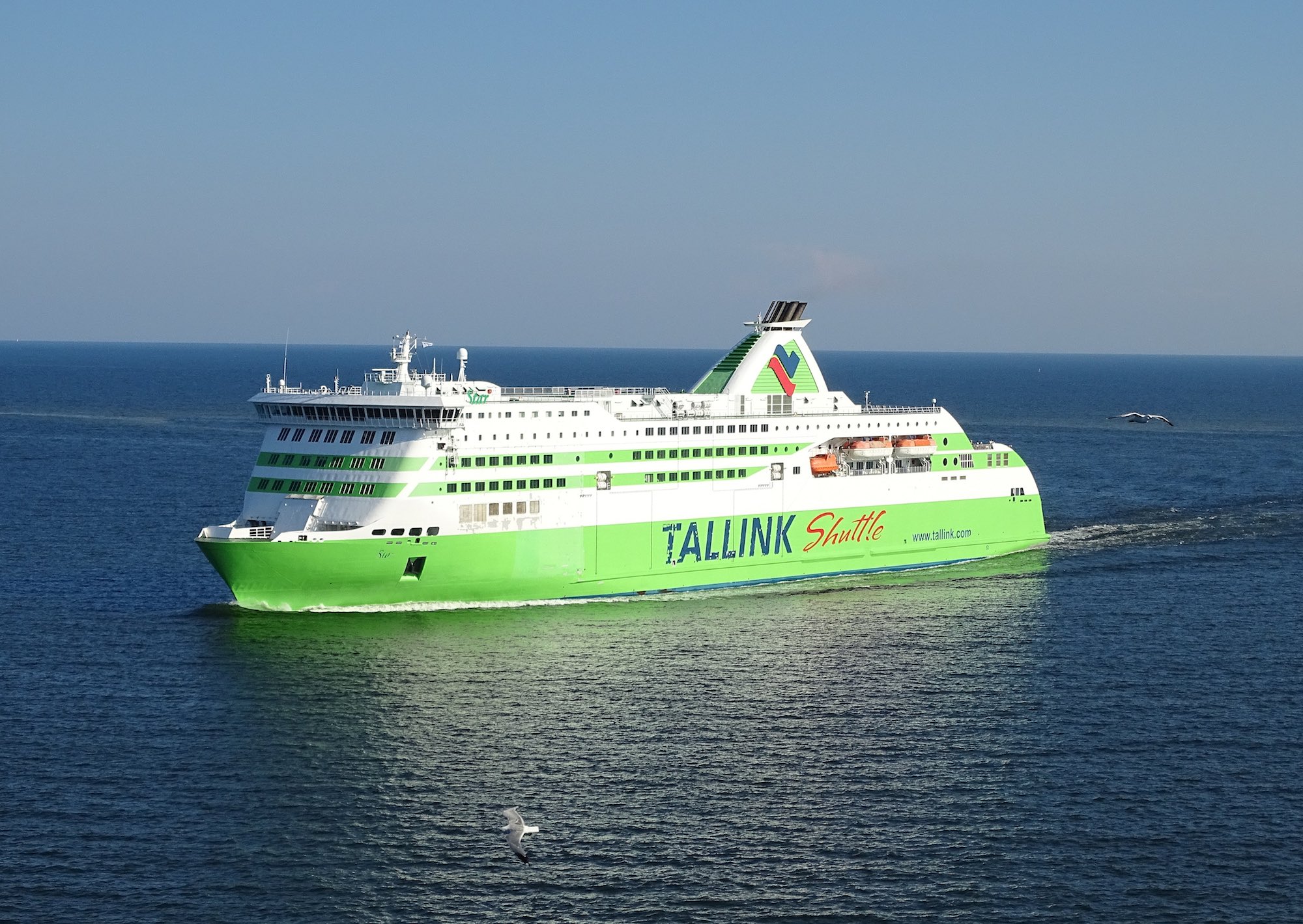Decarbonizing ferry boat routes in the Southern Adriatic Sea: the GUTTA virtual meeting