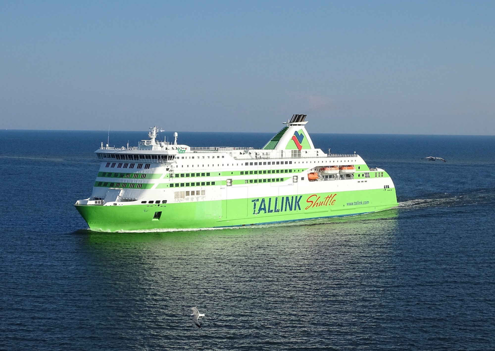 Decarbonizing ferry boat routes in the Southern Adriatic Sea: the GUTTA virtual meeting