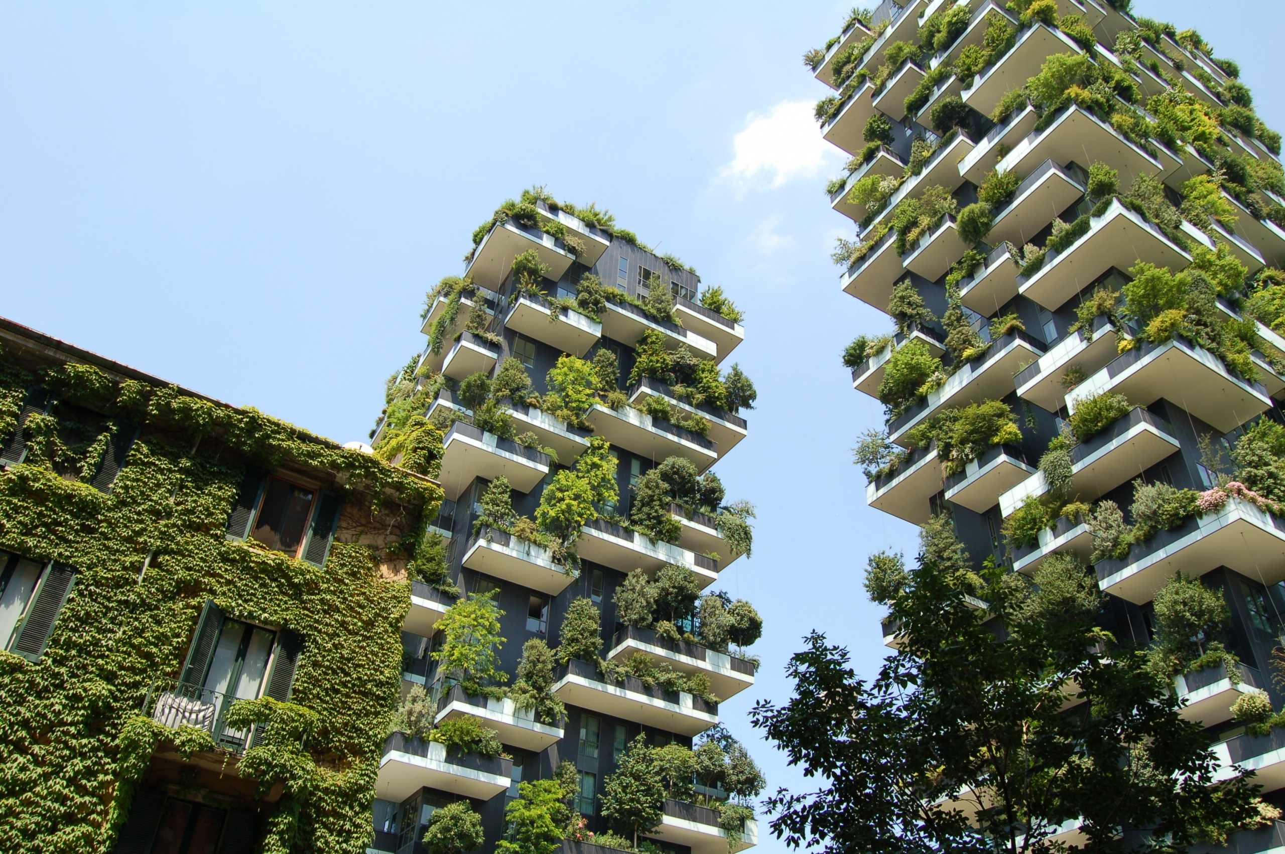 Green cities: urban infrastructures to effectively respond to climate change