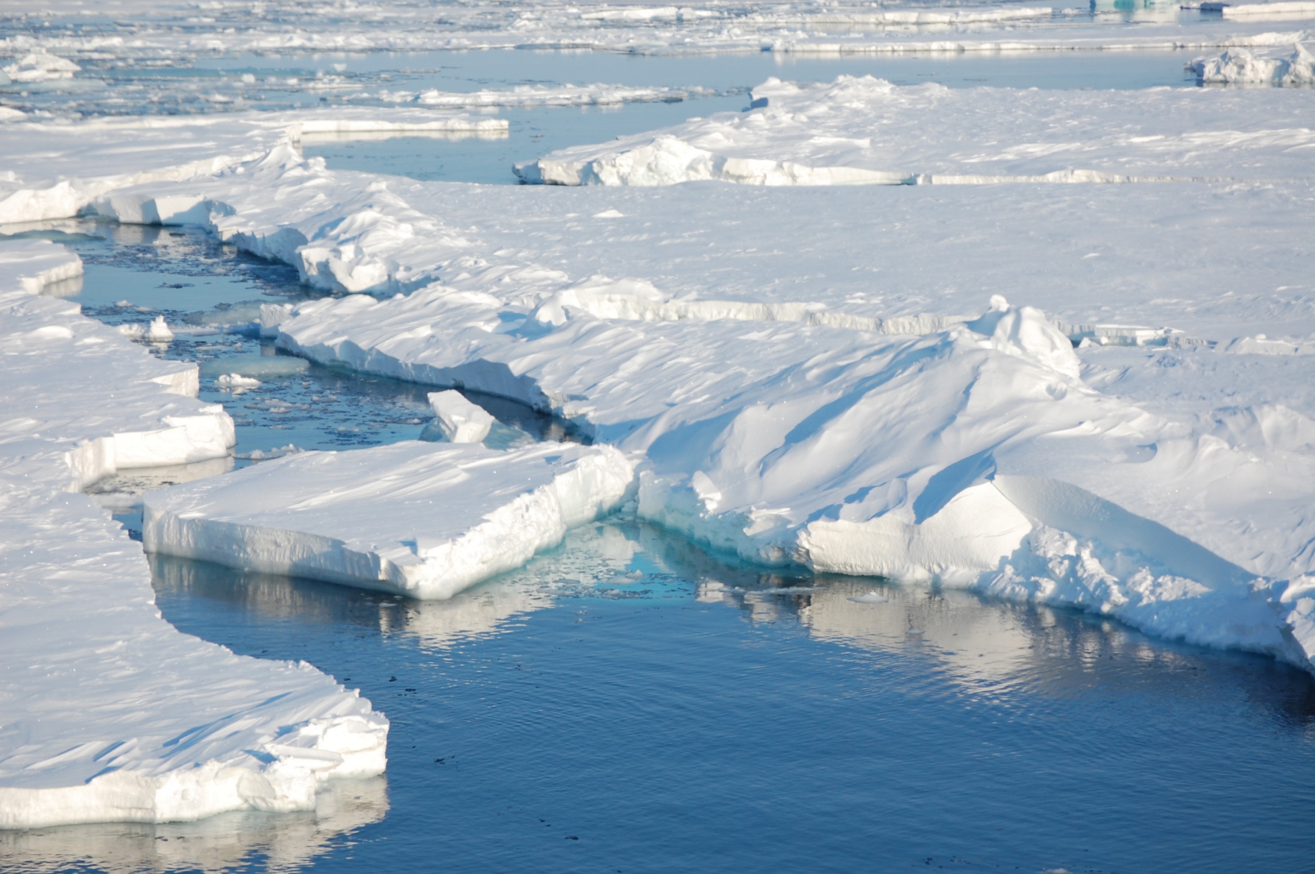 North pole soon to be ice free in summer