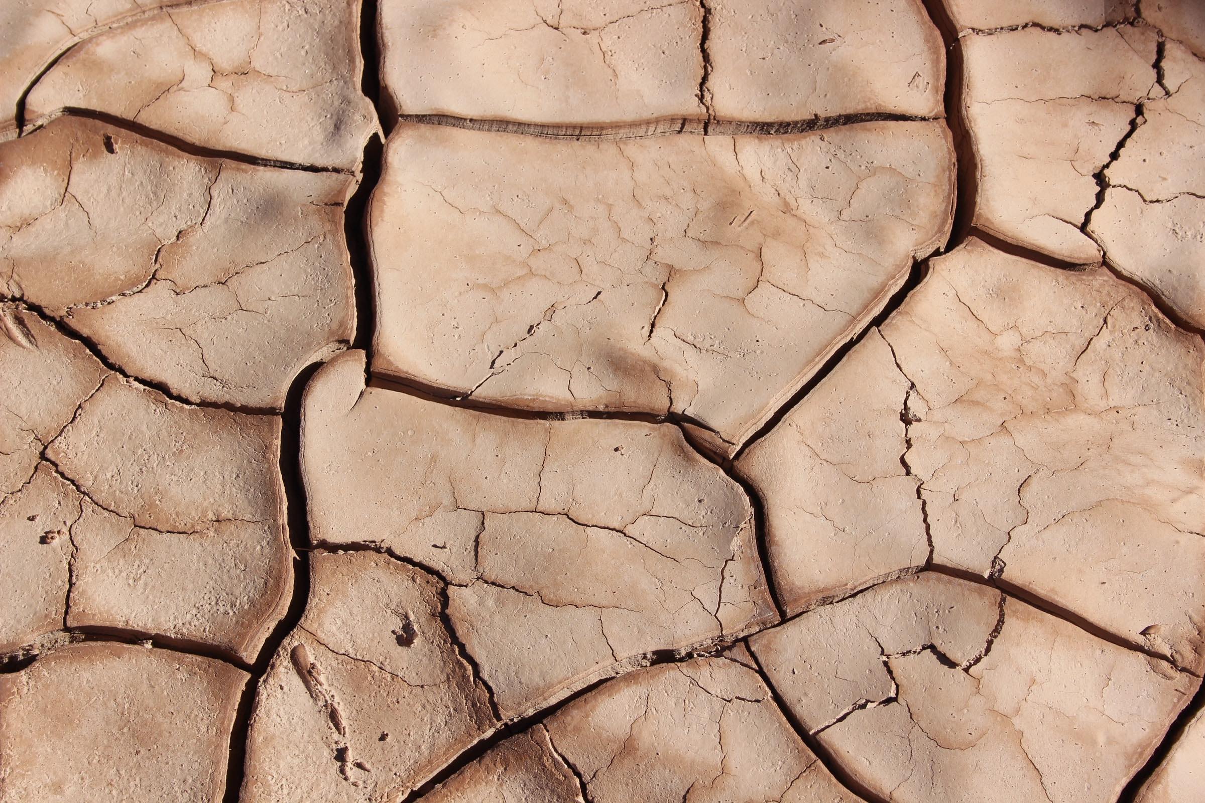 The cost of drought in Italy