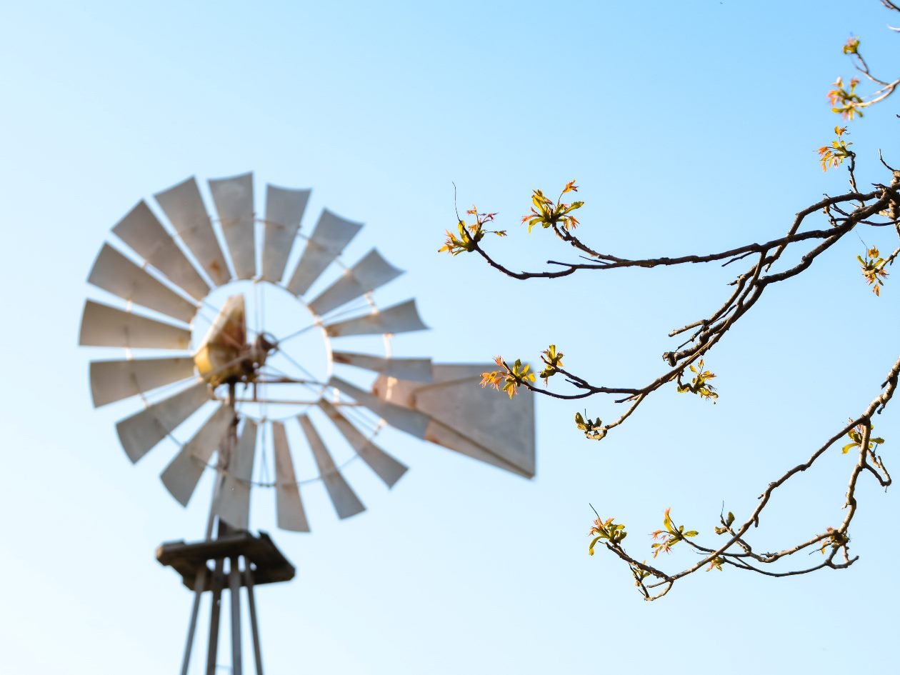 Climate services: the legacy of the CLARA project