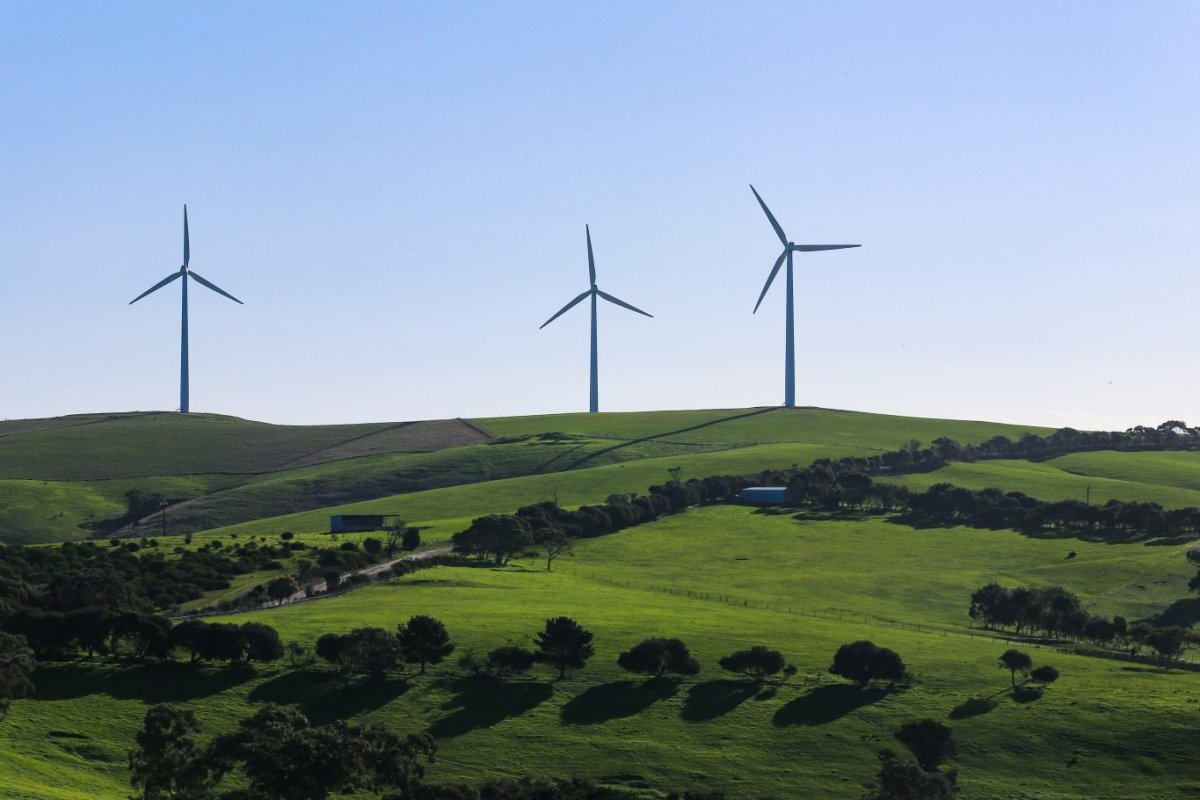 Low-carbon policies can be ‘balanced’ to benefit small firms and average households