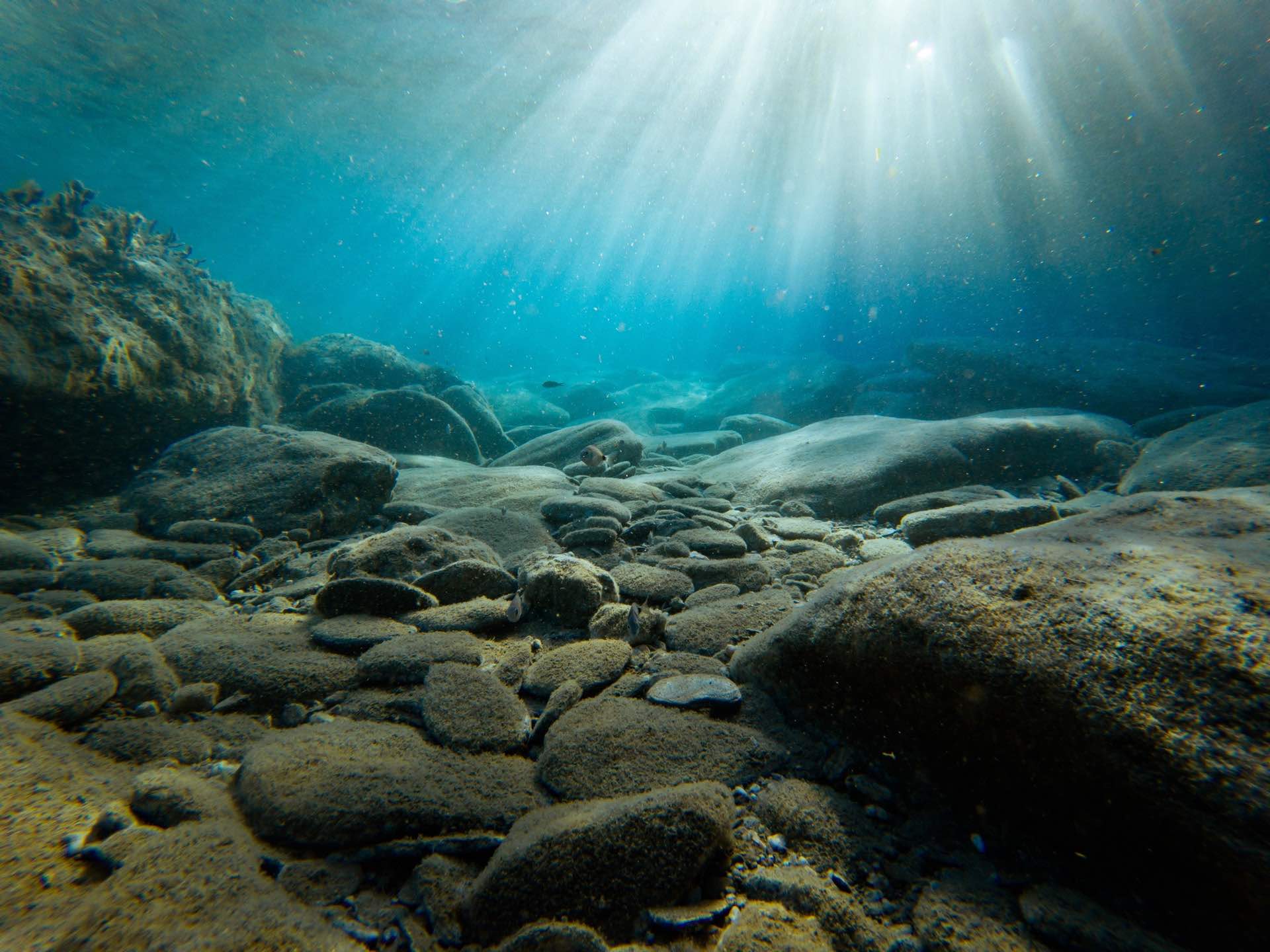 Ridurre l’acidificazione degli oceani rimuovendo la CO2 dall’atmosfera: i due obiettivi per una ricerca all’avanguardia nel Mediterraneo