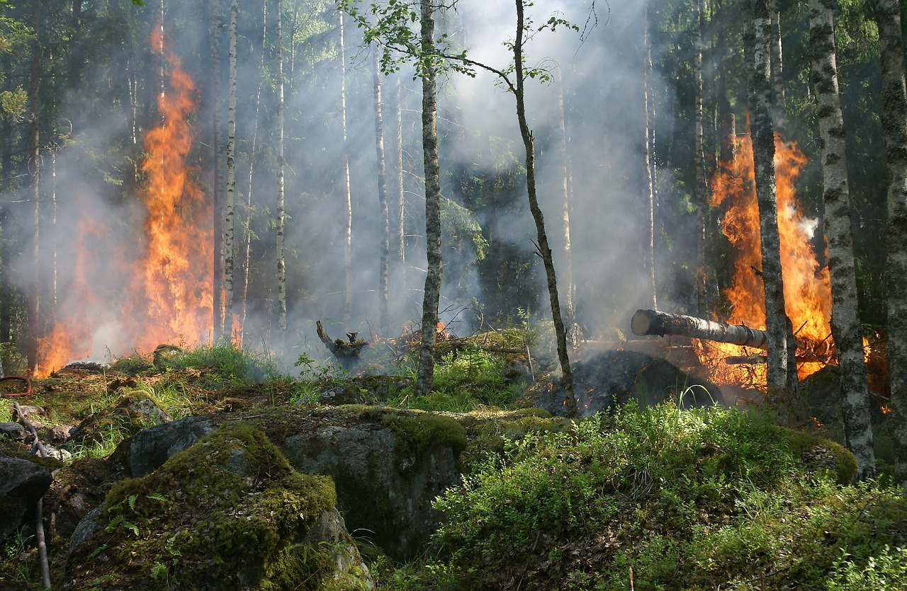 Wildfire monitoring and prevention: science, innovation and cross-border cooperation towards informed decisions for firefighting