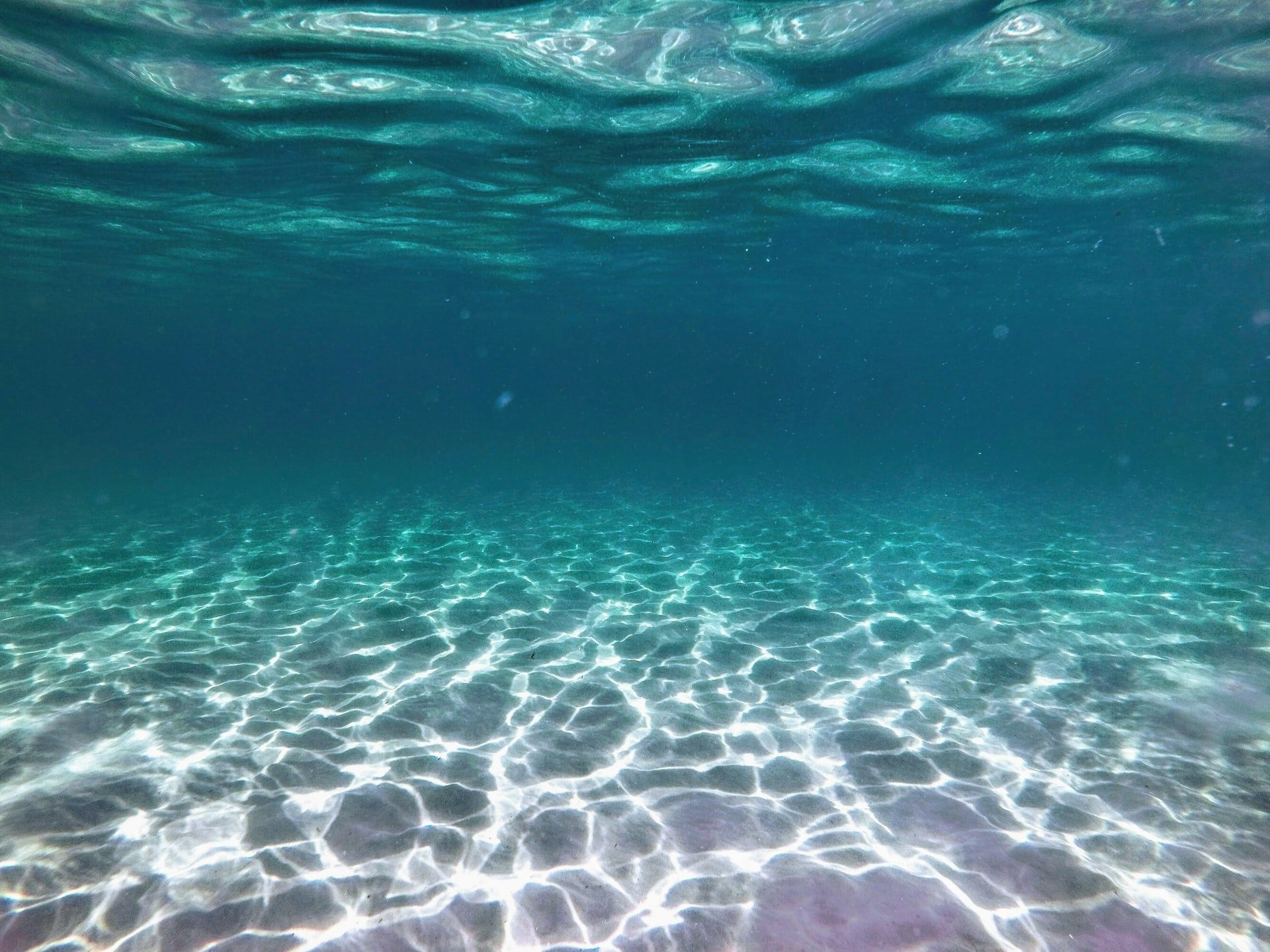 Prevedere l’oceano: nuove prospettive per Mediterraneo e Mar Nero