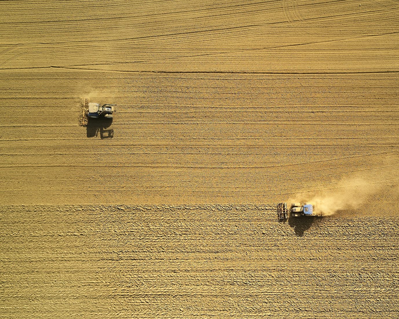 Un quarto dei raccolti globali a rischio se l’agricoltura non si adatta ai cambiamenti climatici