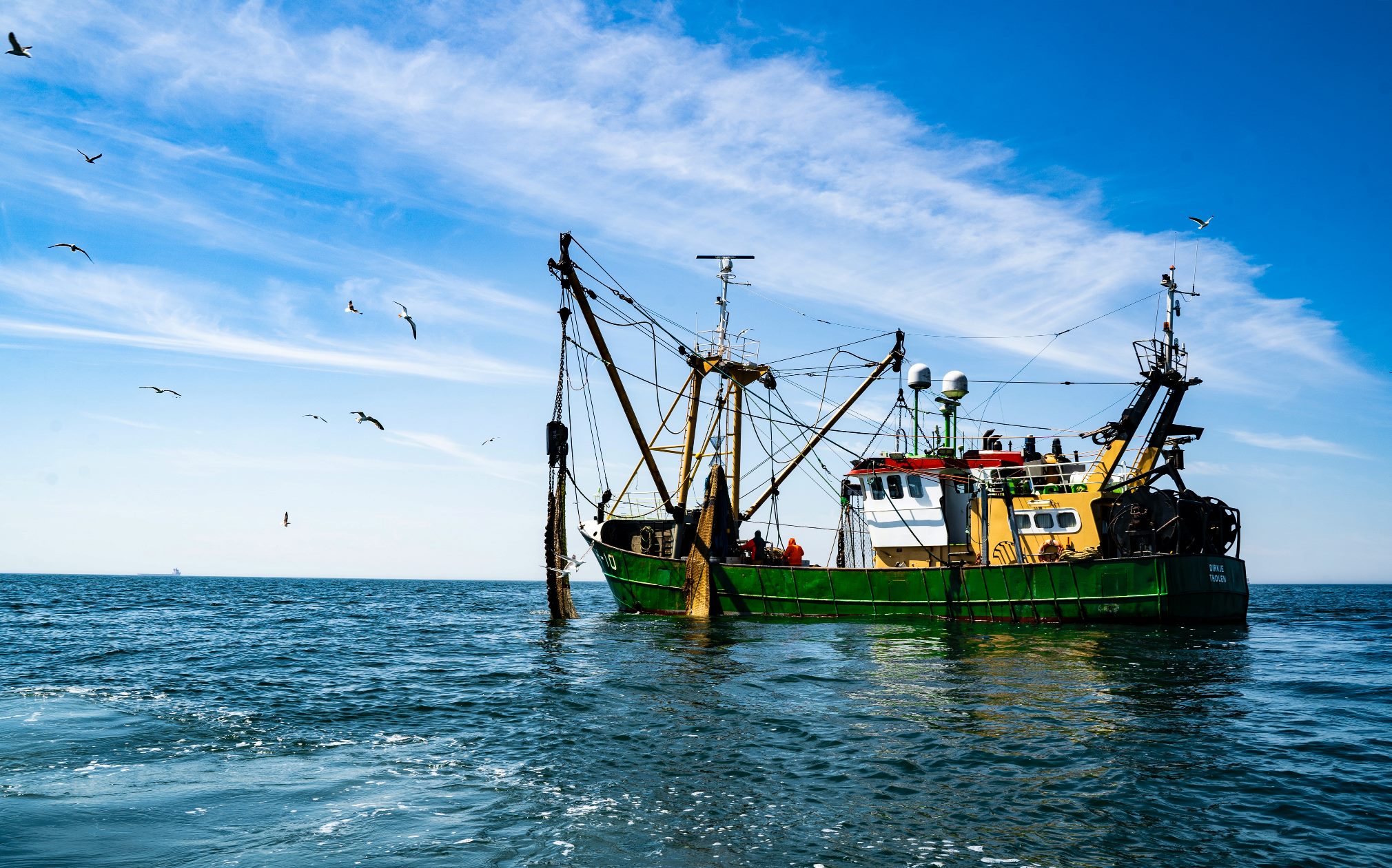 Pesca e servizi ecosistemici, nuove sfide per valutare gli impatti dei cambiamenti climatici