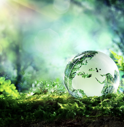 How and why asset managers use ESG: current trends and new approaches
