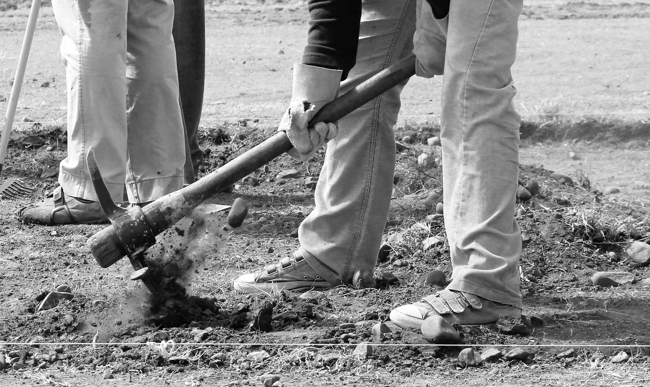 Cambiamenti climatici, mercato del lavoro e il futuro della disuguaglianza di genere