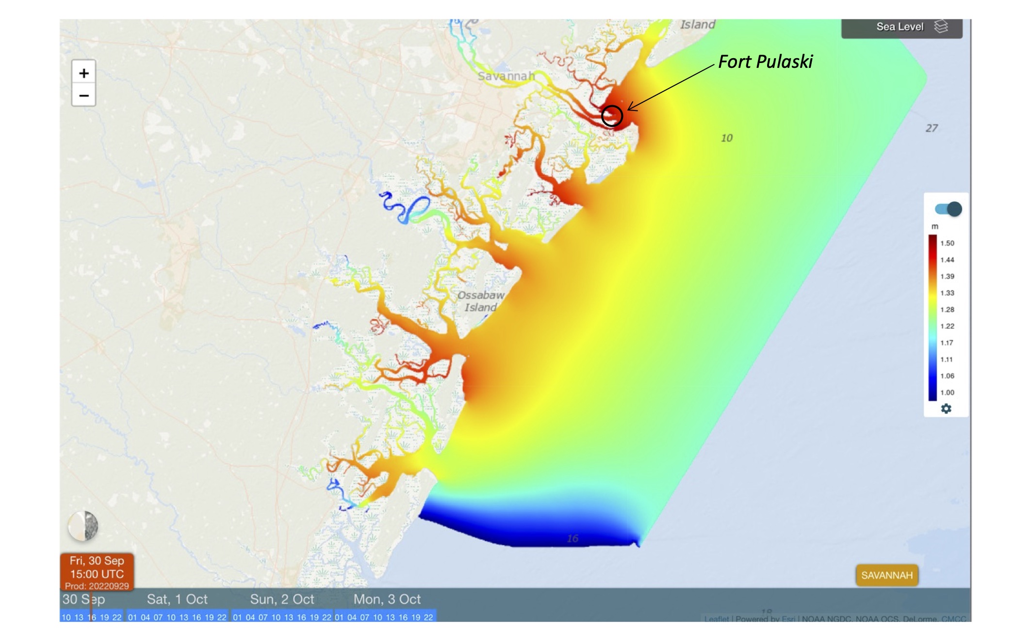 Hurricane Ian: forecasting of the coastal storm surge