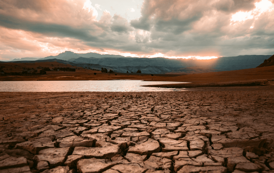 The European 2022 summer: context and predictability