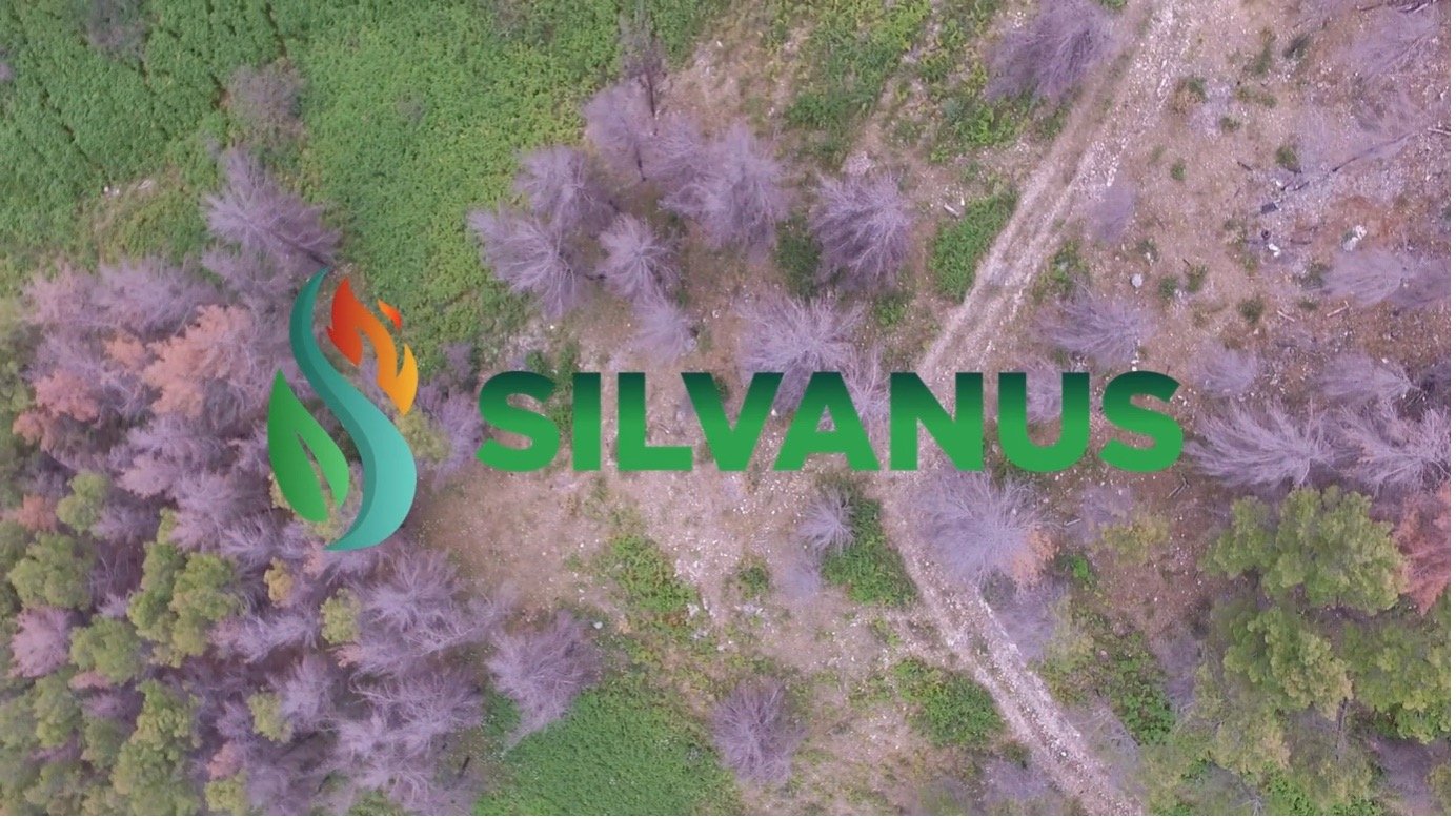SILVANUS project: a new video to tell the story of forest and fire management