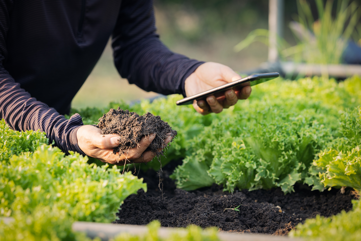 Al via la prima edizione dell’Agritech Academy