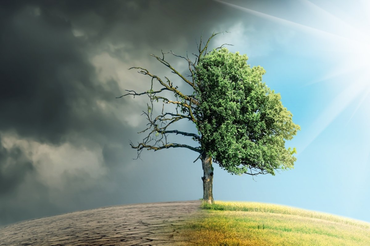 Master e Dottorato in Scienza e Gestione dei Cambiamenti Climatici: le edizioni 2023/2024