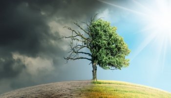 Applications are open for the two postgraduate training opportunities that prepare tomorrow's climate change experts, designed by Ca’ Foscari University of Venice and the Euro-Mediterranean Center on Climate Change.