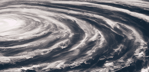 Mastering tropical cyclone representation with the CLINT project