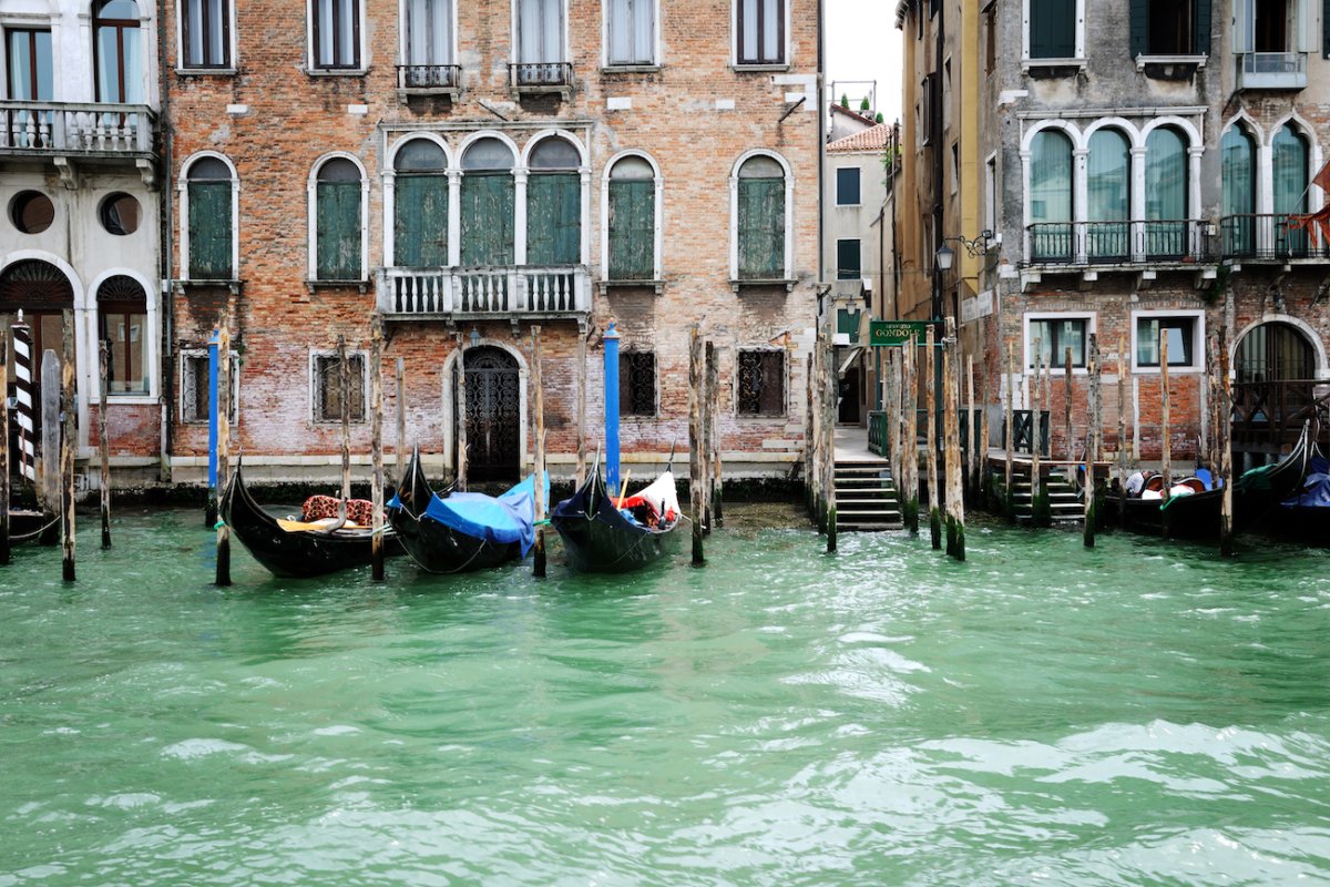 Dallo Zimbabwe a Venezia per studiare il clima, Master alla memoria per Lucy Samvura...