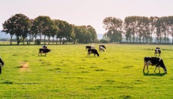 CMCC research on climate change risks for the agricultural and livestock sectors has been selected to be presented at the official press conferences of the European Geosciences Union General Assembly 2023 taking place next week. Journalists, freelance science writers, science bloggers, and public information officers can still register to join the press conferences.