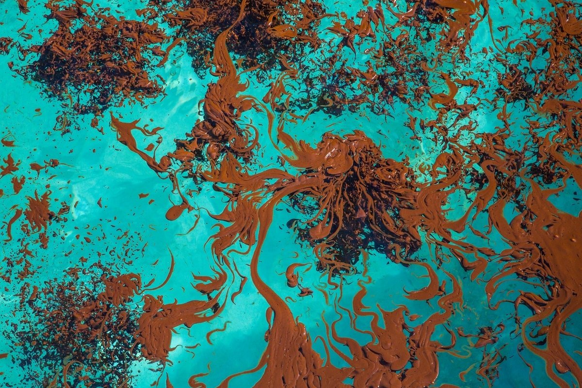 Where is the Oil: ricerca CMCC al servizio della protezione civile per la salute del...